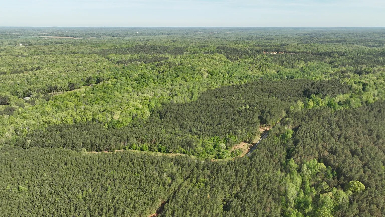 Wooded area