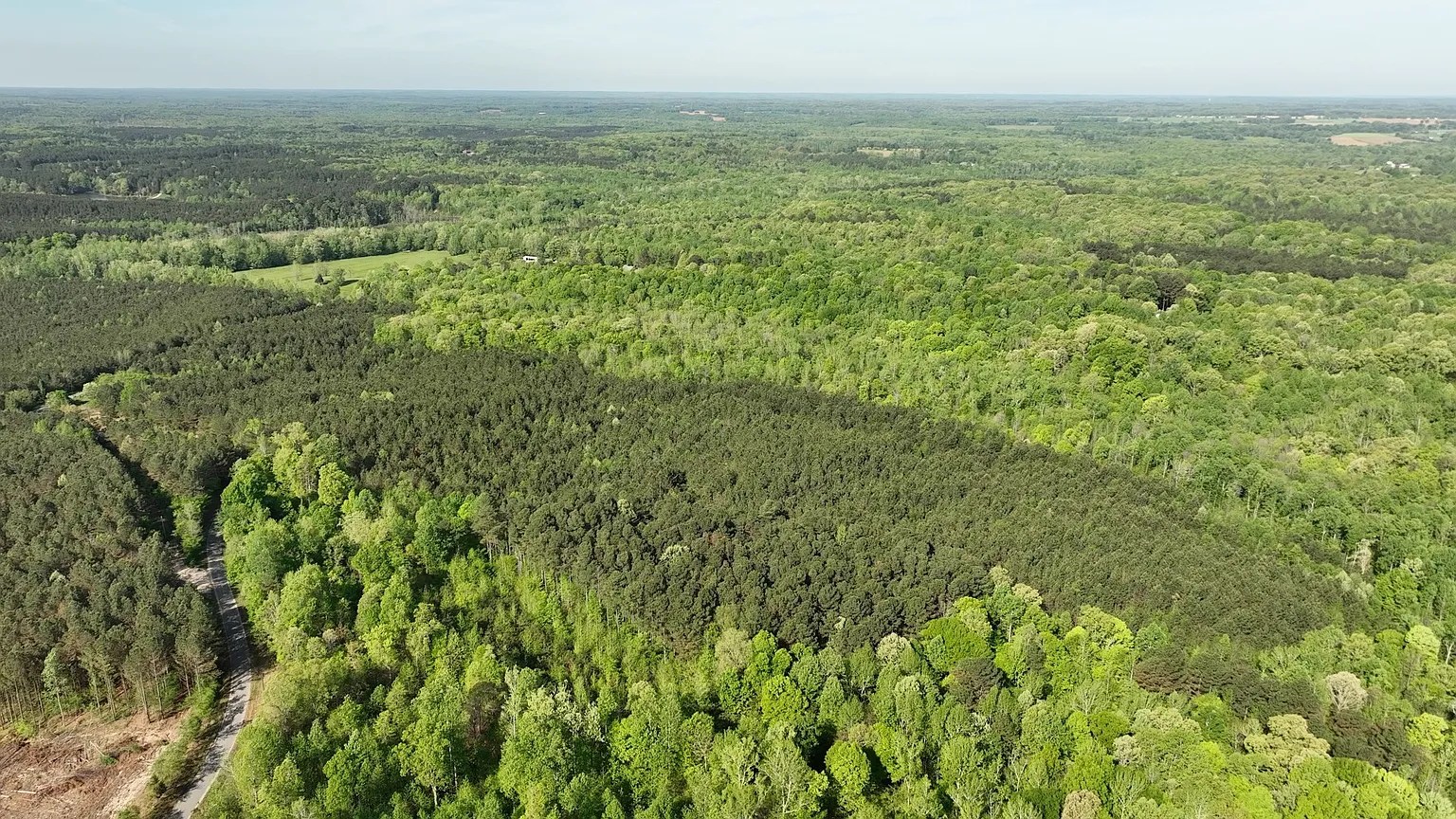 Timber and terrain