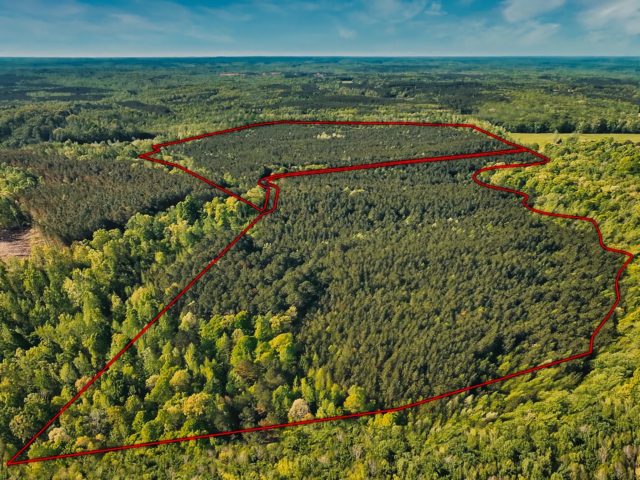 95.9 Acres - Eden Farm Rd