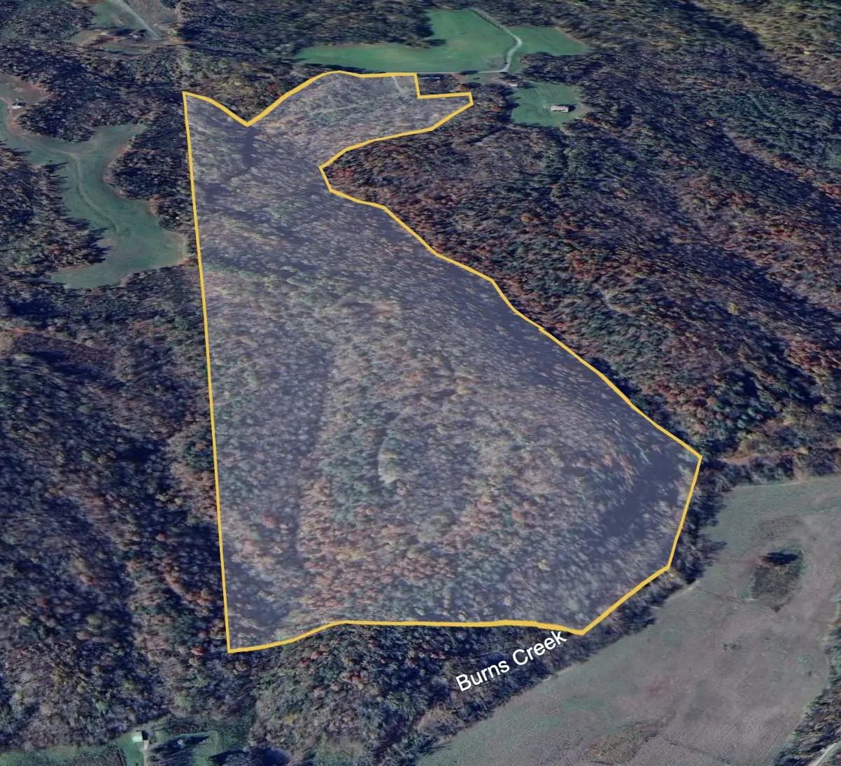 Property map view