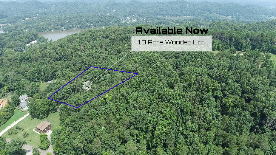 Property overview